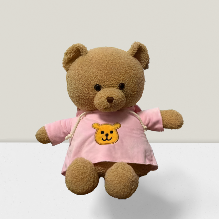 Teddy Bear Diversion Safe