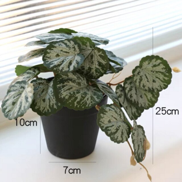 Fake Plant Hidden Cam